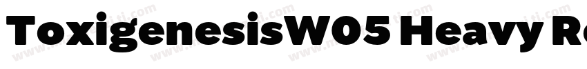 ToxigenesisW05 Heavy Regular字体转换
